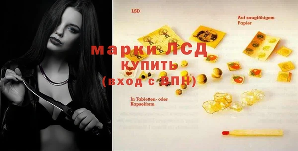 стафф Сосновый Бор