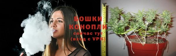 стафф Сосновый Бор