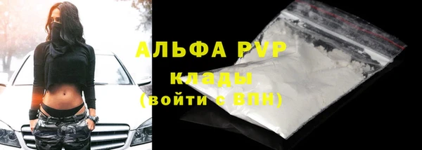 стафф Сосновый Бор